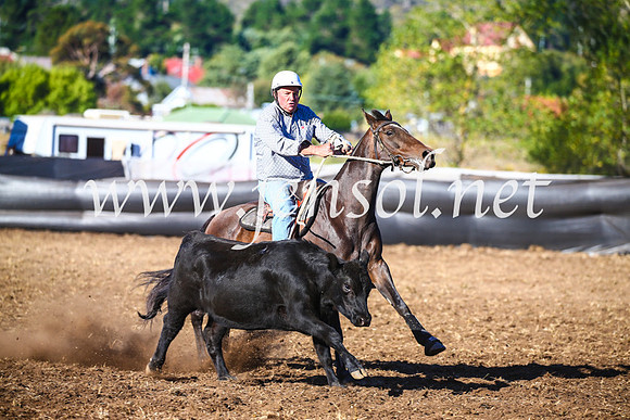 NimmitabelCampdraft2017_5397