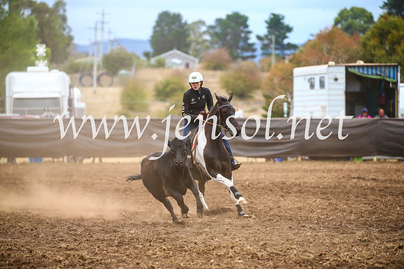 NimmitabelCampdraft2017_5079