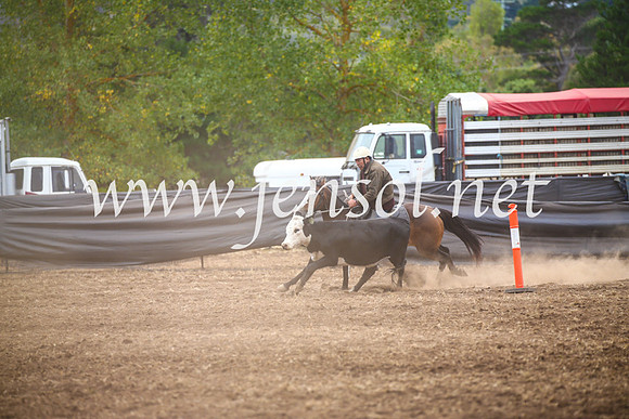 NimmitabelCampdraft2017_5068