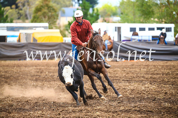 NimmitabelCampdraft2017_5045