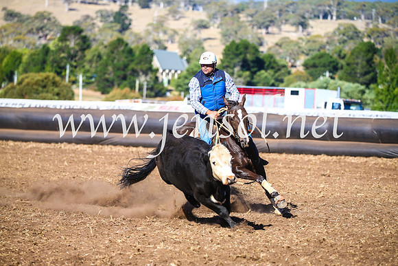 NimmitabelCampdraft2017_5293