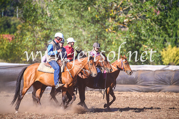 NimmitabelCampdraft2017_5272