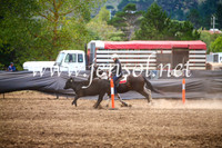 NimmitabelCampdraft2017_5096