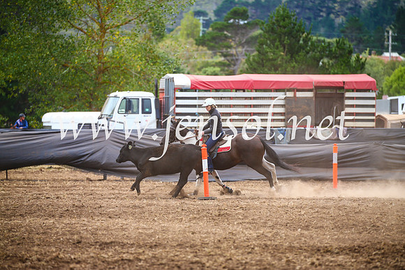 NimmitabelCampdraft2017_5096