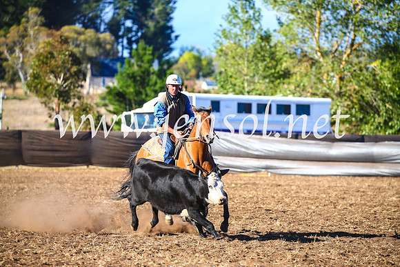 NimmitabelCampdraft2017_5408