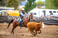 NimmitabelCampdraft2017_5105
