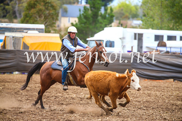 NimmitabelCampdraft2017_5105