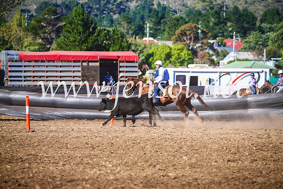 NimmitabelCampdraft2017_5351