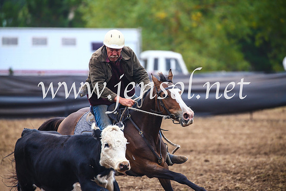 NimmitabelCampdraft2017_5057
