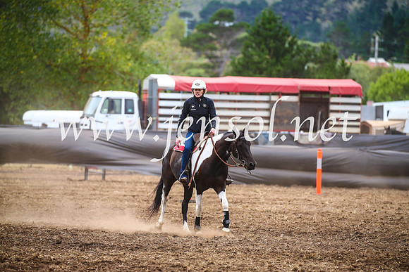 NimmitabelCampdraft2017_5100