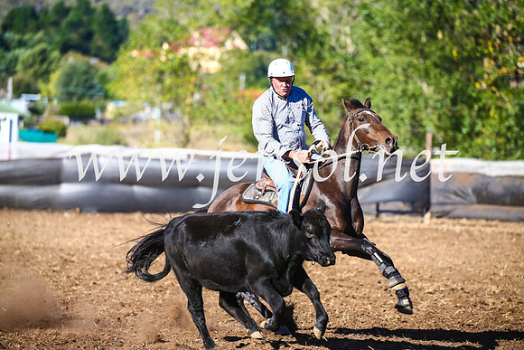 NimmitabelCampdraft2017_5392