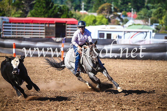 NimmitabelCampdraft2017_5203
