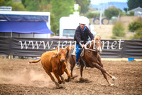 NimmitabelCampdraft2017_5125