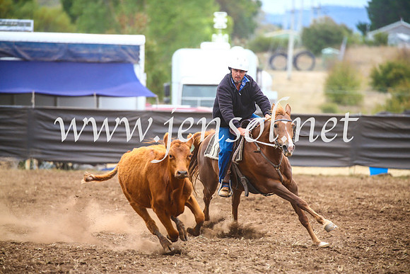 NimmitabelCampdraft2017_5125