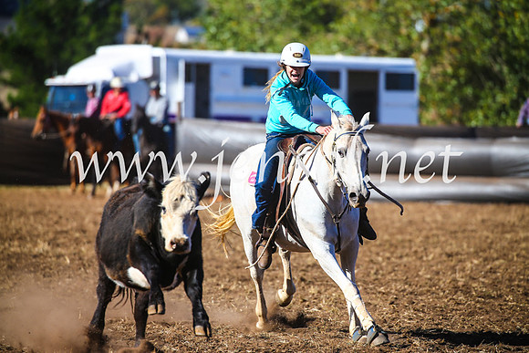 NimmitabelCampdraft2017_5216
