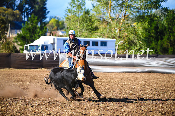 NimmitabelCampdraft2017_5404