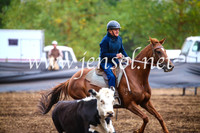 NimmitabelCampdraft2017_5029
