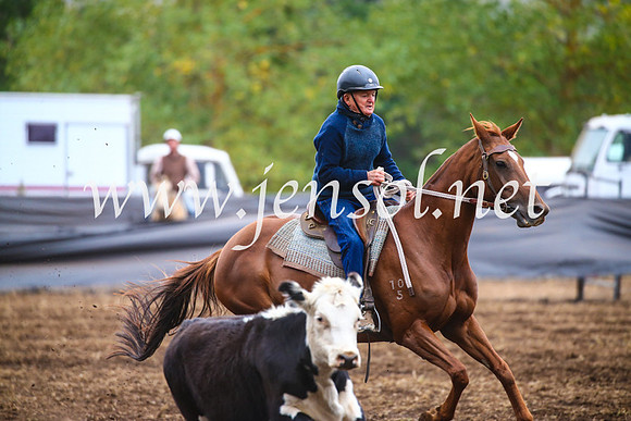 NimmitabelCampdraft2017_5029