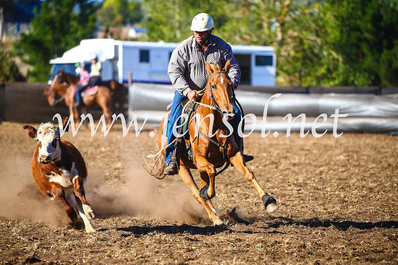 NimmitabelCampdraft2017_5368