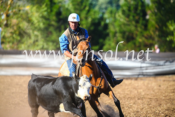 NimmitabelCampdraft2017_5417
