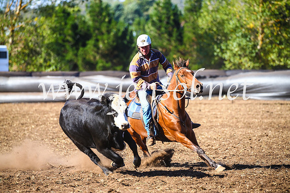 NimmitabelCampdraft2017_5195