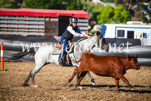 NimmitabelCampdraft2017_5472
