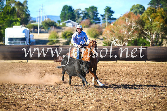 NimmitabelCampdraft2017_5336