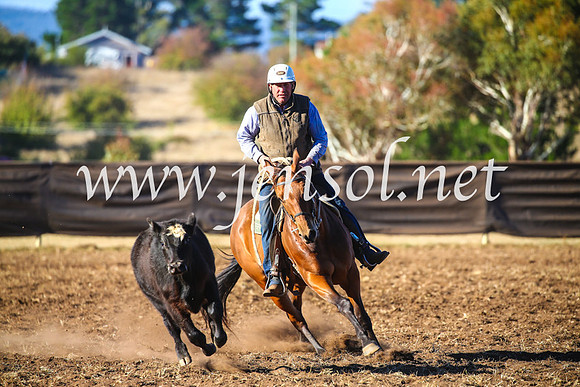 NimmitabelCampdraft2017_5509