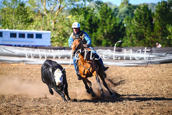 NimmitabelCampdraft2017_5413