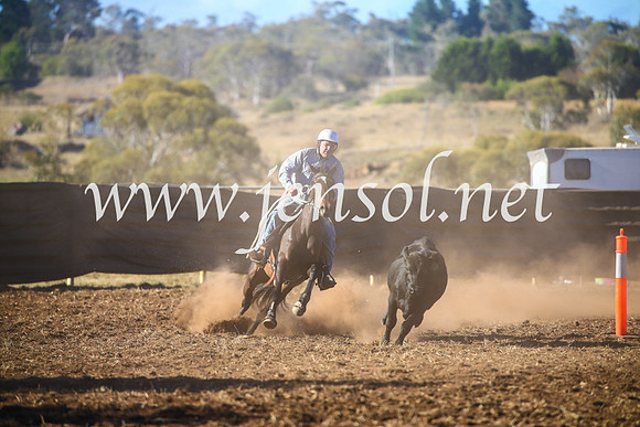 NimmitabelCampdraft2017_5387