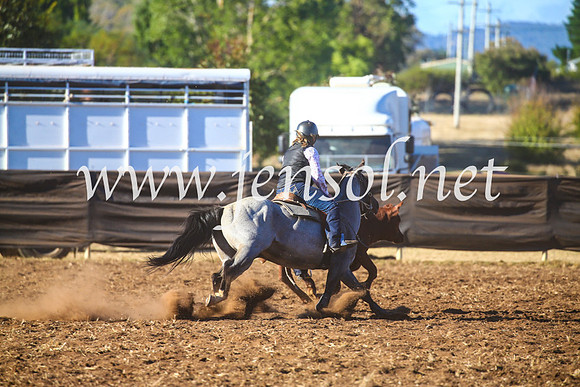 NimmitabelCampdraft2017_5469