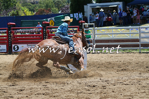 CoomaRodeo2015_0025