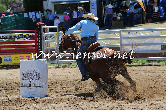 CoomaRodeo2015_0051
