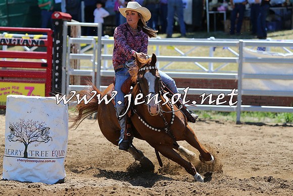 CoomaRodeo2015_0076