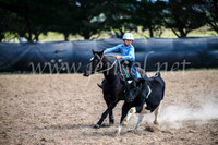 GoulburnCampdraft2017_6473