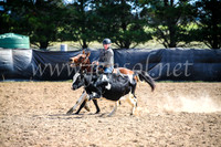 GoulburnCampdraft2017_6494