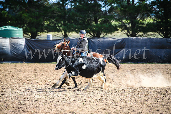 GoulburnCampdraft2017_6494