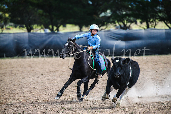 GoulburnCampdraft2017_6482