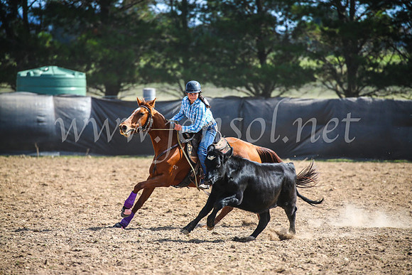 GoulburnCampdraft2017_6490