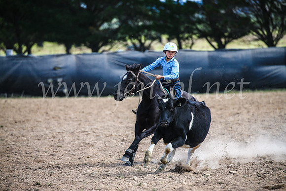 GoulburnCampdraft2017_6470