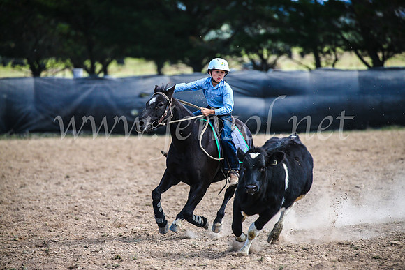 GoulburnCampdraft2017_6481