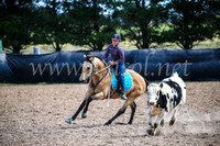 GoulburnCampdraft2017_6465