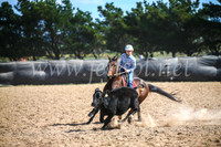 GoulburnCampdraft2017_6498