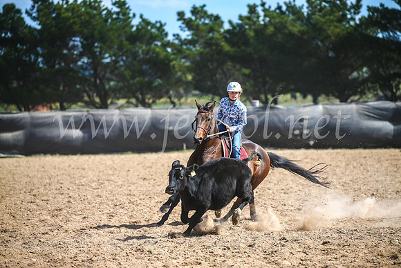 GoulburnCampdraft2017_6498