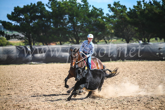 GoulburnCampdraft2017_6505