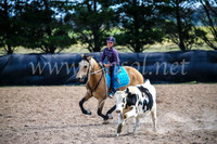 GoulburnCampdraft2017_6468