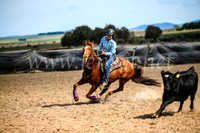 GoulburnCampdraft2017_6493