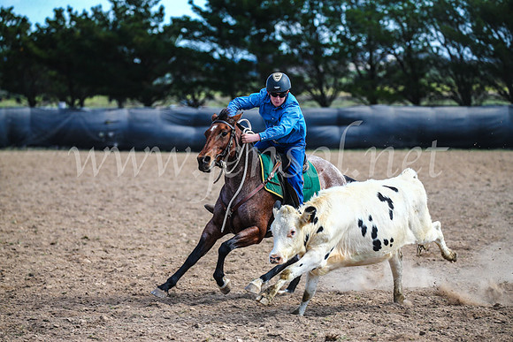 GoulburnCampdraft2017_6462