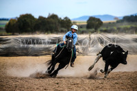 GoulburnCampdraft2017_6485