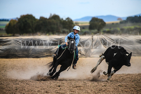 GoulburnCampdraft2017_6485